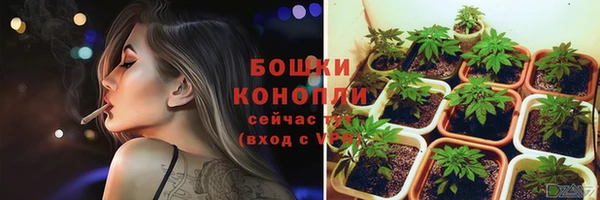 соль ск Ельня