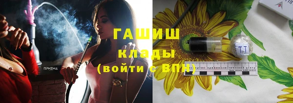 соль ск Ельня