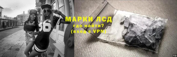 соль ск Ельня