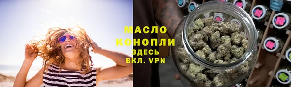 индика Елизово