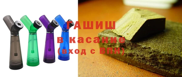 соль ск Ельня