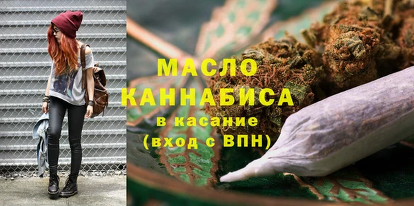 индика Елизово
