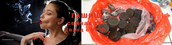 индика Елизово