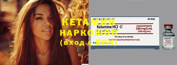 индика Елизово