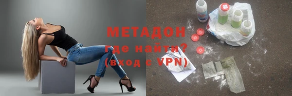 индика Елизово