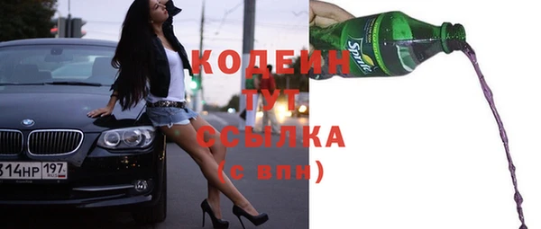 соль ск Ельня