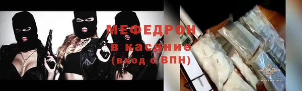 соль ск Ельня