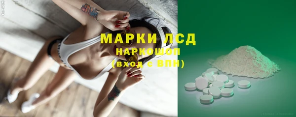 индика Елизово