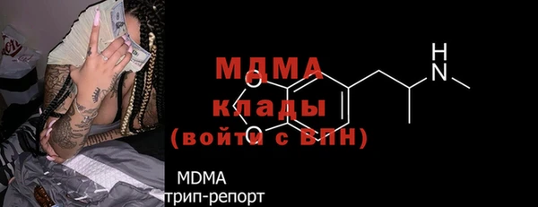 индика Елизово