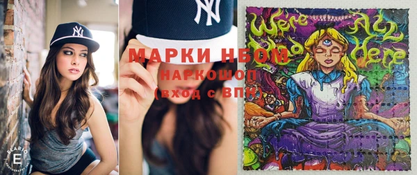соль ск Ельня