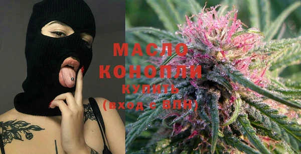 соль ск Ельня