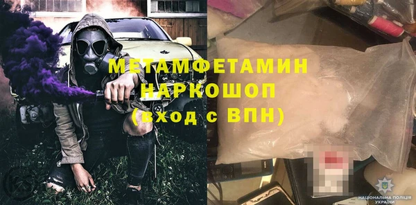 индика Елизово