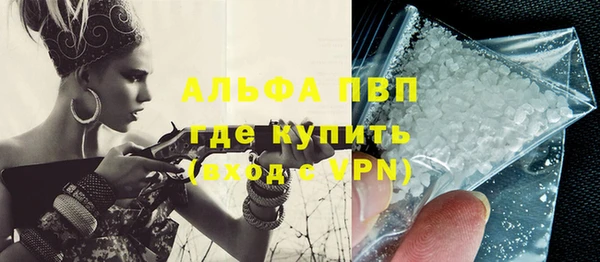 индика Елизово