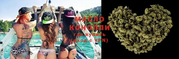индика Елизово