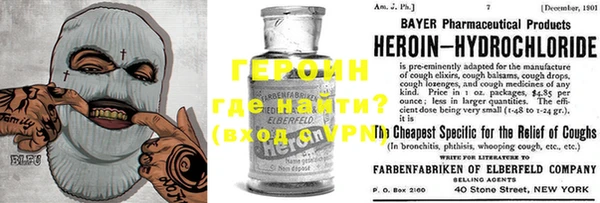 индика Елизово