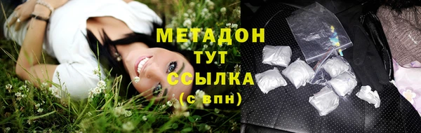 индика Елизово