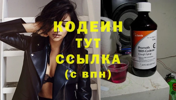 индика Елизово
