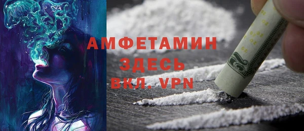 соль ск Ельня