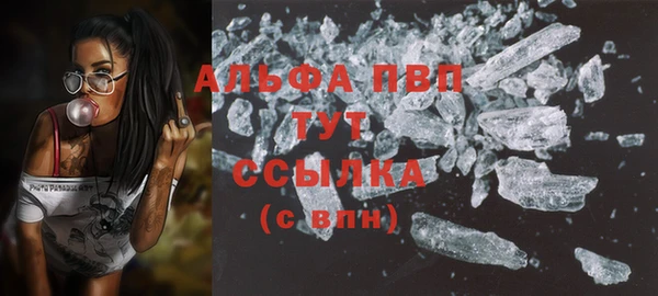 индика Елизово
