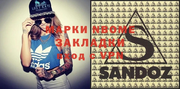 индика Елизово